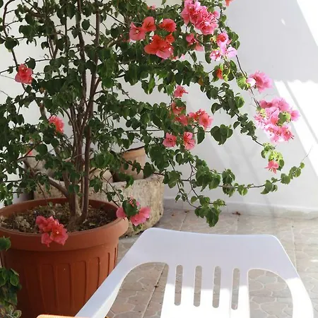 Bb Dragonetti Salento Bed & Breakfast Manduria
